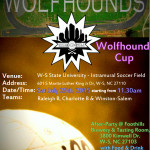 Wolfhound Cup poster - Final v.2 (grey)_620x877