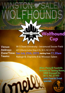 Wolfhound Cup poster - Final v.2 (grey)_620x877